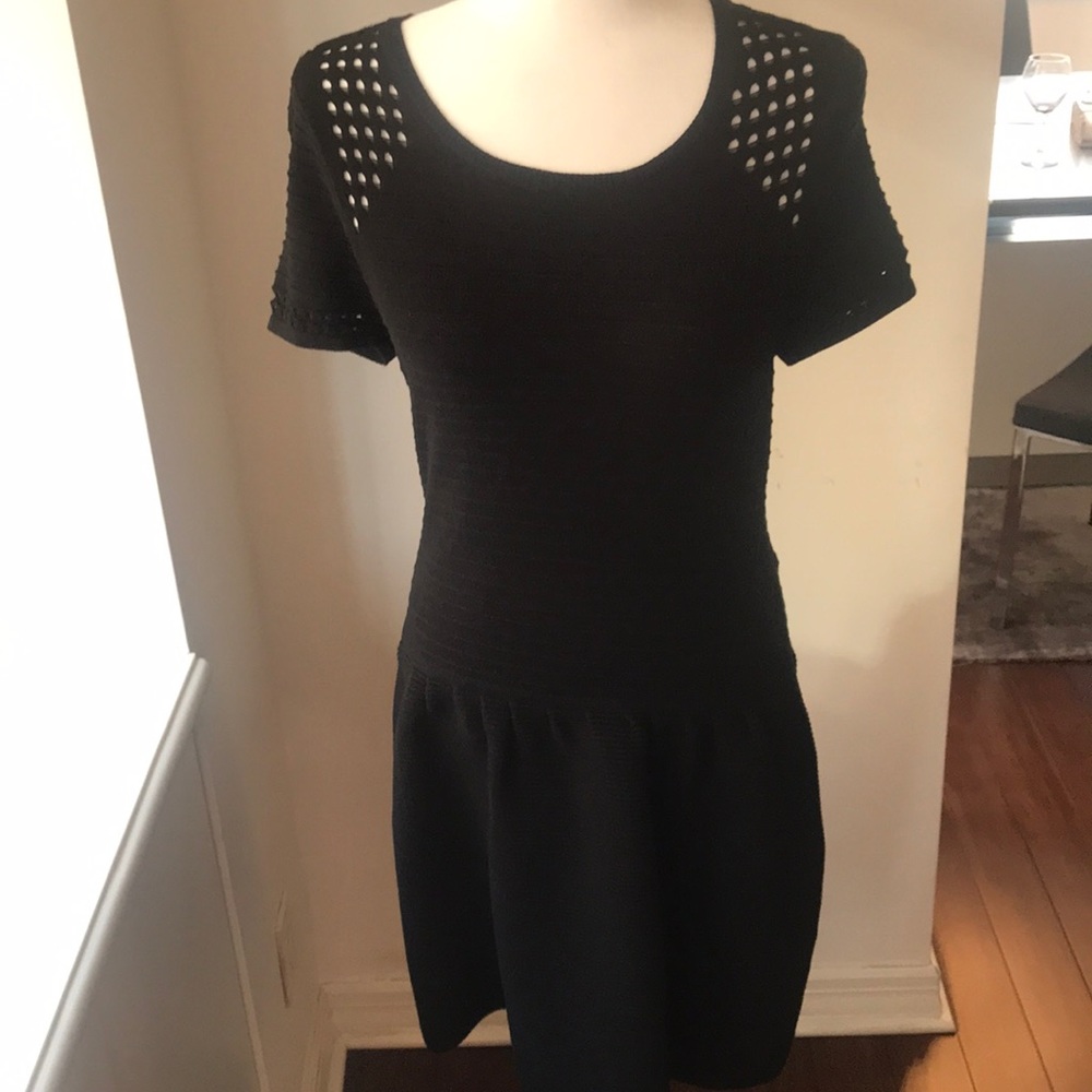 NWOT Cynthia Steffe Perforated Knit skater dress!